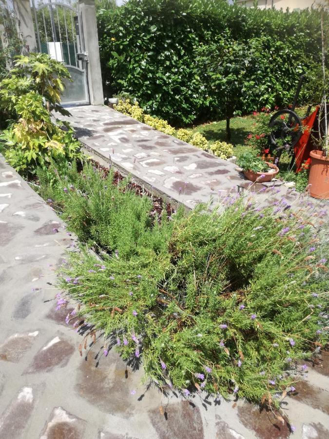 B&B La Damigiana Fioi Piano di Follo エクステリア 写真