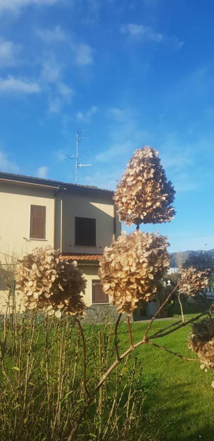 B&B La Damigiana Fioi Piano di Follo エクステリア 写真