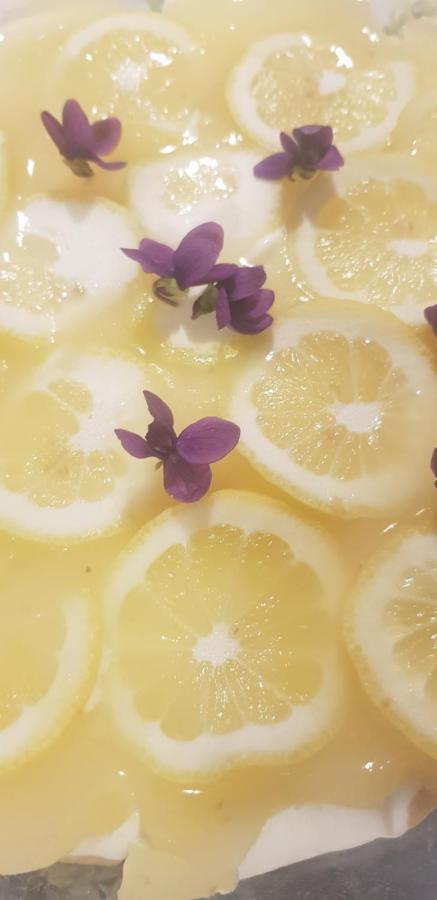 B&B La Damigiana Fioi Piano di Follo エクステリア 写真