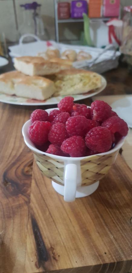 B&B La Damigiana Fioi Piano di Follo エクステリア 写真