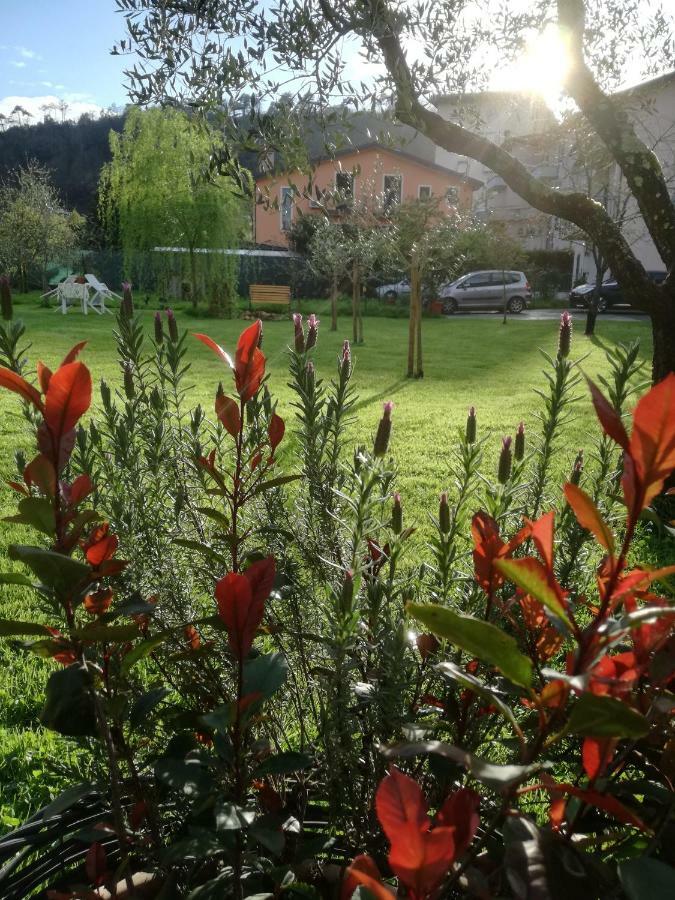 B&B La Damigiana Fioi Piano di Follo エクステリア 写真