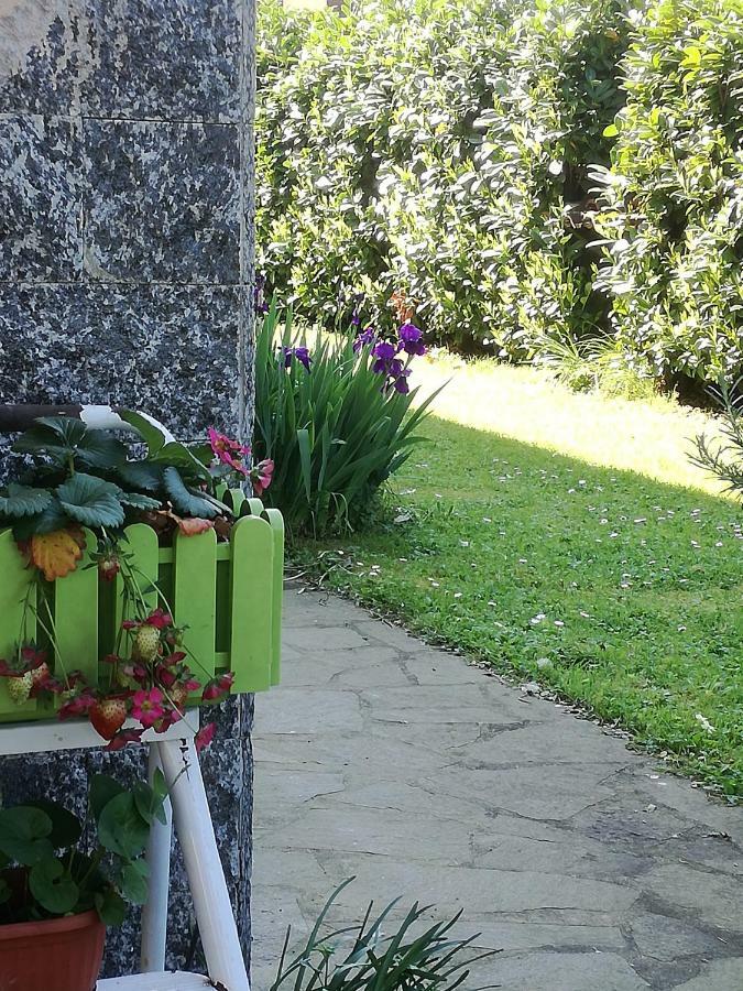 B&B La Damigiana Fioi Piano di Follo エクステリア 写真